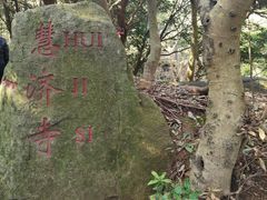-普陀山风景区-佛顶山