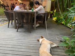 -云里小坐·小院里·团建·宴请·下午茶(三圣乡店)