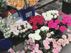 -循礼门鲜花花市(武汉循礼门店)