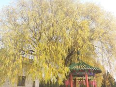 -盛世南宫影视城(北普陀影视城)