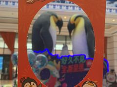 -帝企鹅自助餐厅•儿童岛•真企鹅(长隆企鹅酒店)