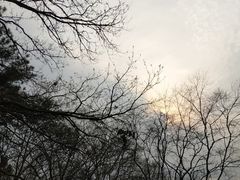 -紫金山山顶公园