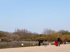 -上海方塔园