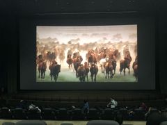 -天幕新彩云国际影城(激光巨幕店)