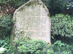 -十八棵（老龙井）御茶园(老龙井店)