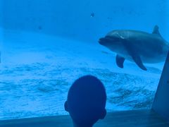 -西海国立公园九十九岛水族馆