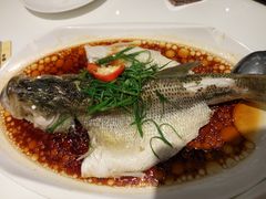 -至潮餐厅精致粤菜·活鲈鱼·走地鸡(珠江新城店)