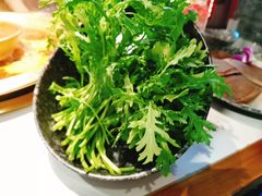 茼蒿-哥老官重庆美蛙鱼头(宝山龙湖店)