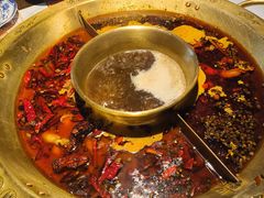 -哥老官重庆美蛙鱼头(日月光店)