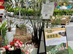 -龙湖南京河西天街