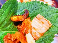-红辣椒八爪鱼特色韩国料理专门店(远景路旗舰店)