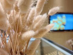 -小西家作(富力爱丁堡店)