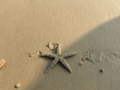 -三亚海棠湾万丽度假酒店