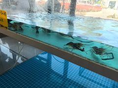 -品鲜村农家菜·阳澄湖大闸蟹(总店)