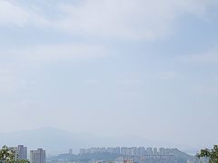-福道