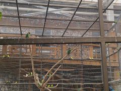 -南宫五洲植物乐园