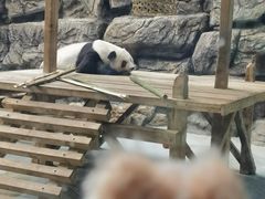 -大青山野生动物园