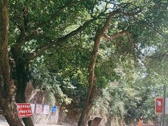 -敬亭山风景名胜区