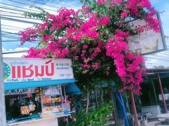 -拉威海鲜市场