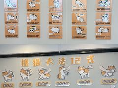 -有喵·猫咖·狗咖·30几只猫10只小狗(岗厦店)