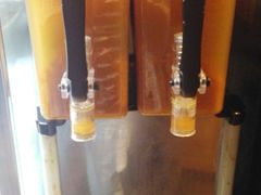 -丝恋丝娃娃(逸天城国贸店)