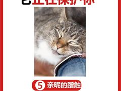 -瑞派福兴宠物医院犬猫全科·骨科·中西医结合(河东店)