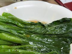 -百福麵家(新馬路店)