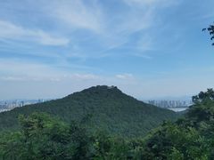 -九曜山