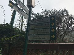 -南丫岛