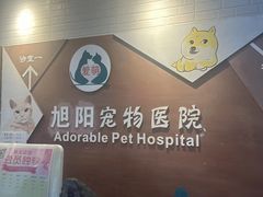 -美联众合宠物医院·爱萌分院·内外科·猫科中心