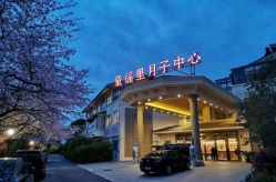 -童谣里医疗级月子中心(独栋湖景店)