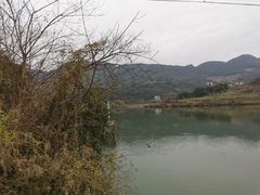 -丰盛镇响水水库