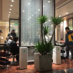 -扎嘎形象设计