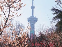 -南京古林公园