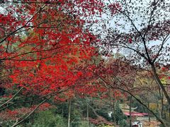 -岳麓山风景名胜区