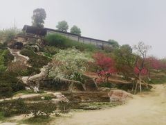 -秀丽东方