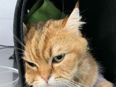 -北京赛佳动物医院