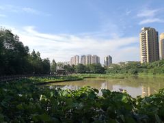 -金山公园