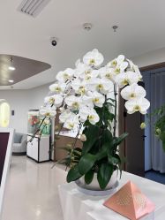 -丰联丽格医疗美容·联合丽格眼整形中心