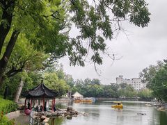 -莲湖公园