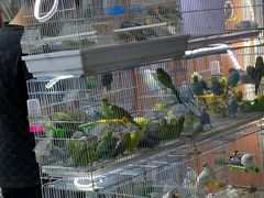 -三旗百汇商品城