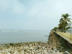 -野狸岛