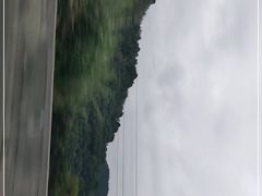 -广州市流溪河国家森林公园