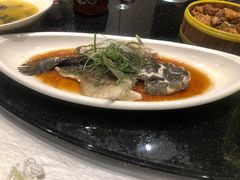 -高老庄新家宴(北斗星广场店)