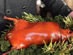 -莉莉海堂HAITANG·烤鸭(国贸商城店)