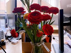 -循礼门鲜花花市(武汉循礼门店)