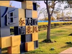 -上海山野camping·户外天幕烧烤·团建拓展营地