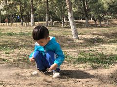 -大兴滨河森林公园