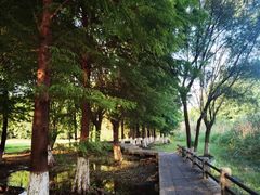 -长广溪湿地公园