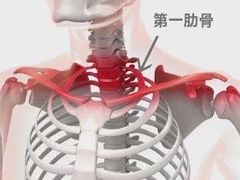 -OneFit健身(汇锦城店)